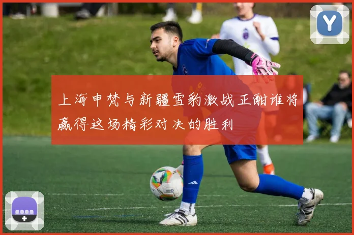 上海申梵与新疆雪豹激战正酣谁将赢得这场精彩对决的胜利