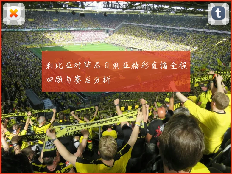 利比亚对阵尼日利亚精彩直播全程回顾与赛后分析