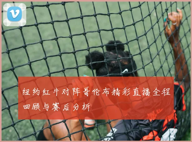 纽约红牛对阵哥伦布精彩直播全程回顾与赛后分析